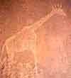 Felszeichnung aus Namibia, ca. 5.000 Jahre alt